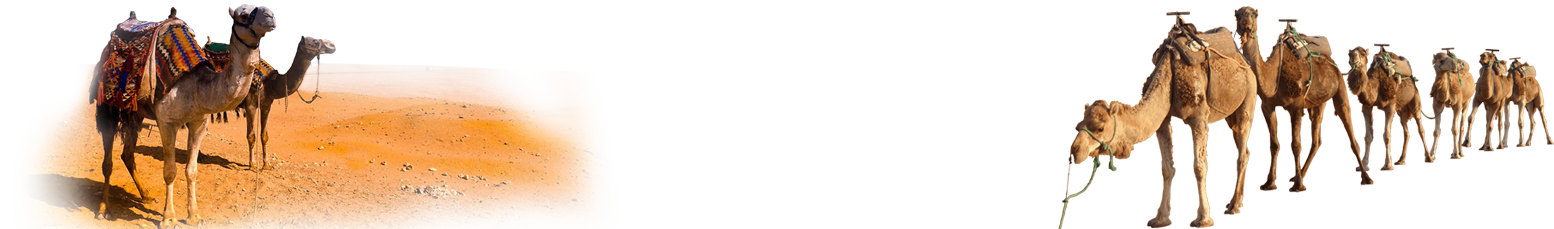 Client Top